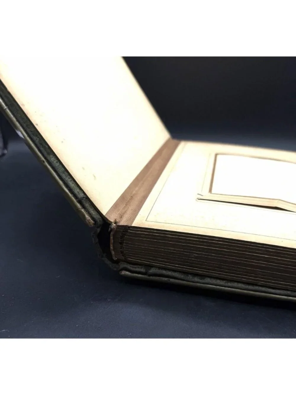 Victorian Green Celluloid Cherubs Dragonfly Photo Album Antique No Latch READ